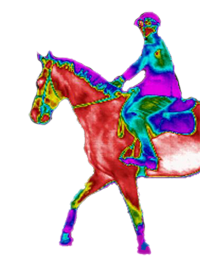 Infrared Horse and Rider