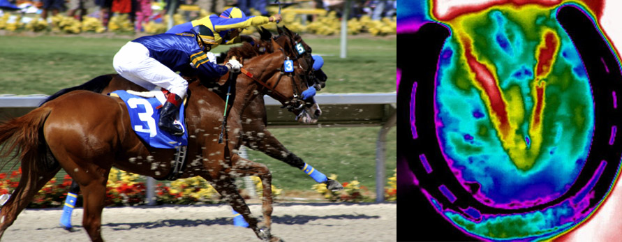 EquineIR Header
