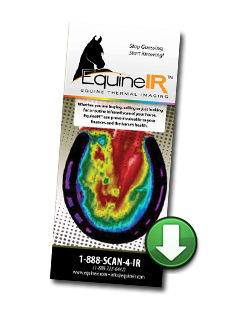 Download Brochure